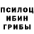 Псилоцибиновые грибы ЛСД Dee Blue