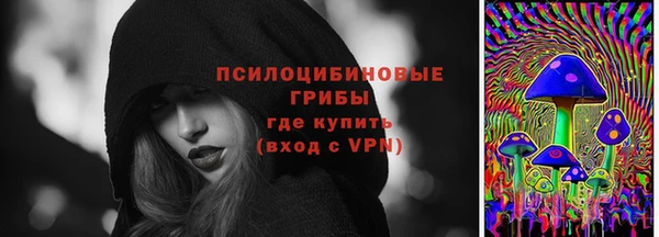 PSILOCYBIN Балабаново