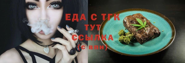 тгк Ельня