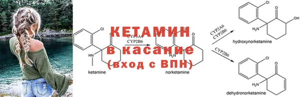 гашик Балахна