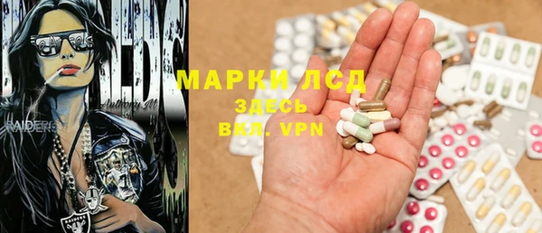 PSILOCYBIN Балабаново