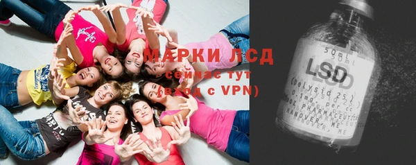 тгк Ельня