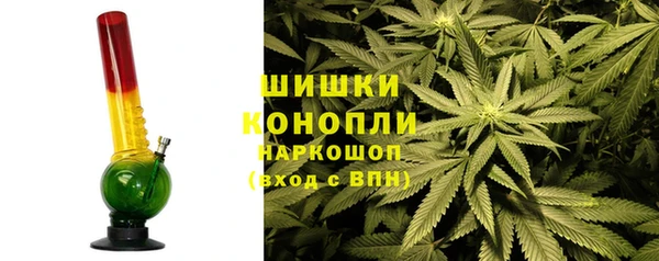 PSILOCYBIN Балабаново