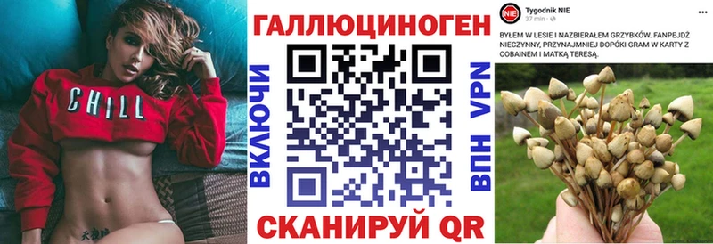 Псилоцибиновые грибы мицелий  Лабытнанги 