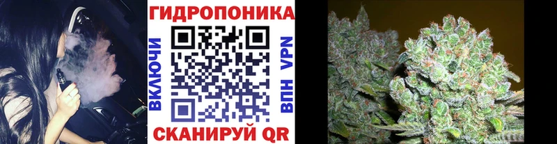 Канабис конопля  Лабытнанги 